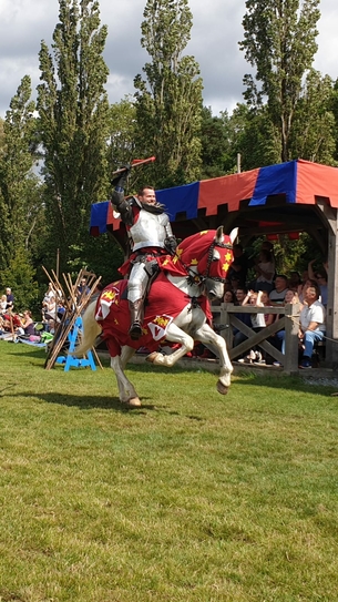 Armoured Joust
