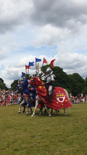 Armoured Joust